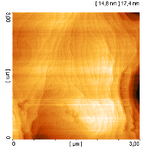 AFM-Bild nach Ebenenkorrektur