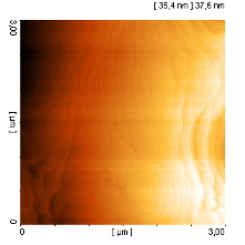 Unbearbeitetes AFM-Bild