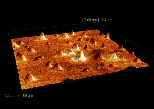 Magnetische Nanopartikel, MFM